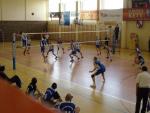 Kliknij, aby zobaczyć. 43_t1.jpg