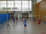 Kliknij, aby zobaczyć. 219_t1.jpg